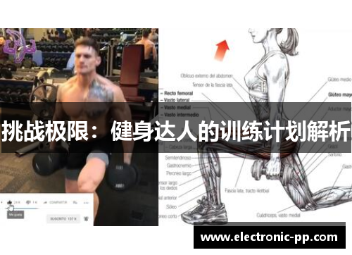 挑战极限：健身达人的训练计划解析